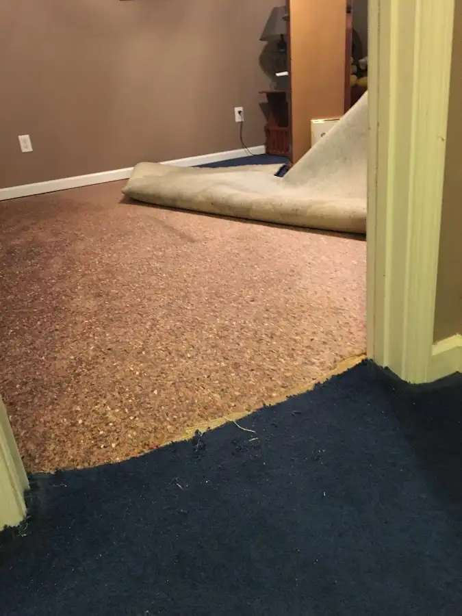 Carpet pad removal revealing water damage during Drying & Dehumidification in Locust